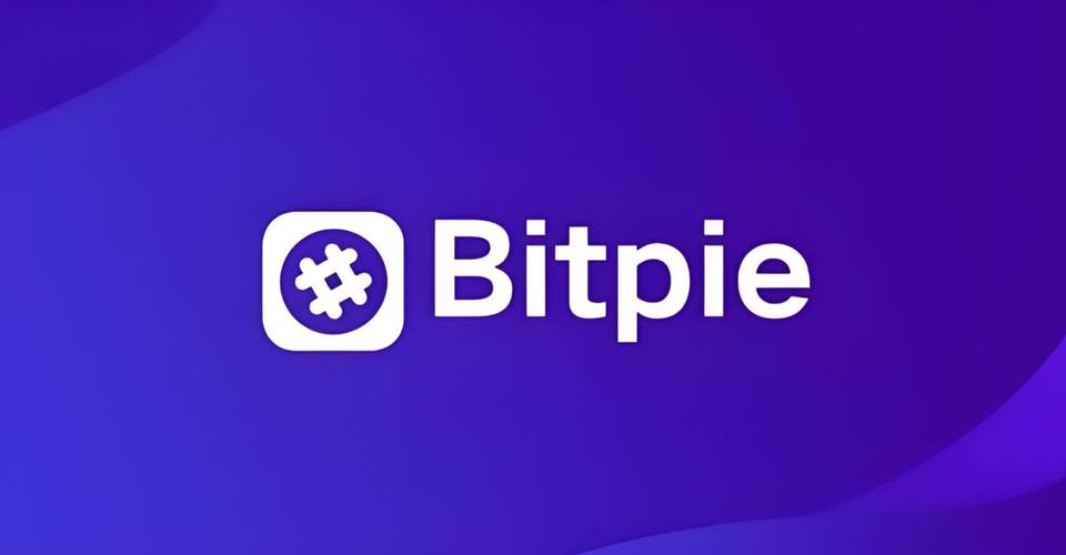 2021比特派钱包使用视频_钱包比特派定位推广最新版下载_比特派钱包最新版的市场定位与推广